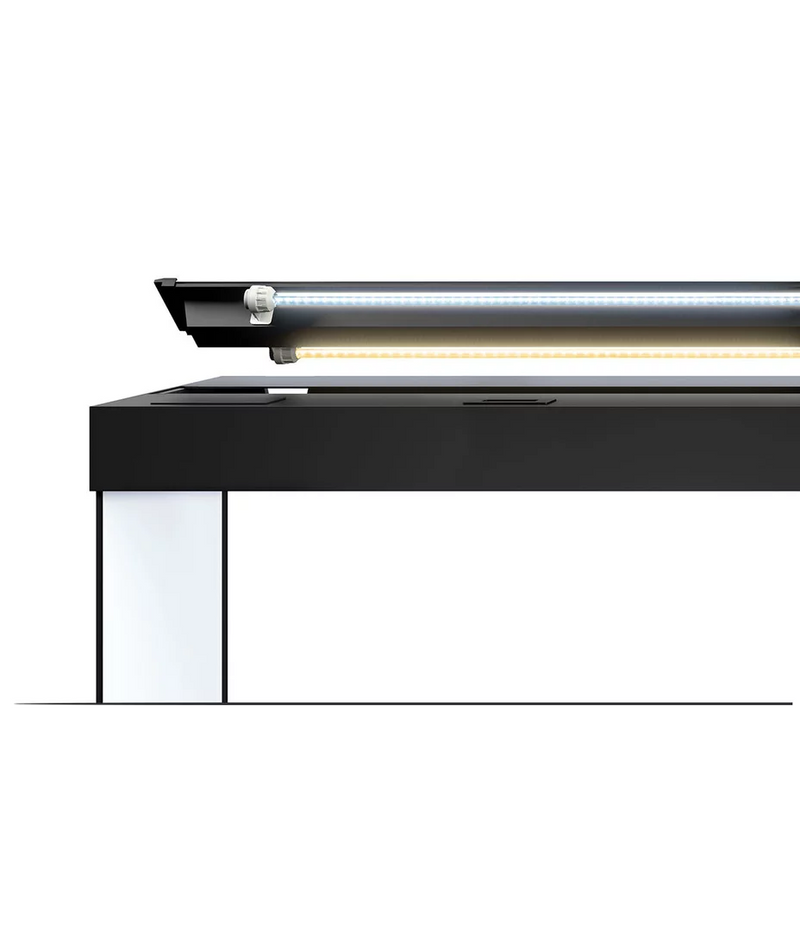 Juwel rio 125 led light clearance