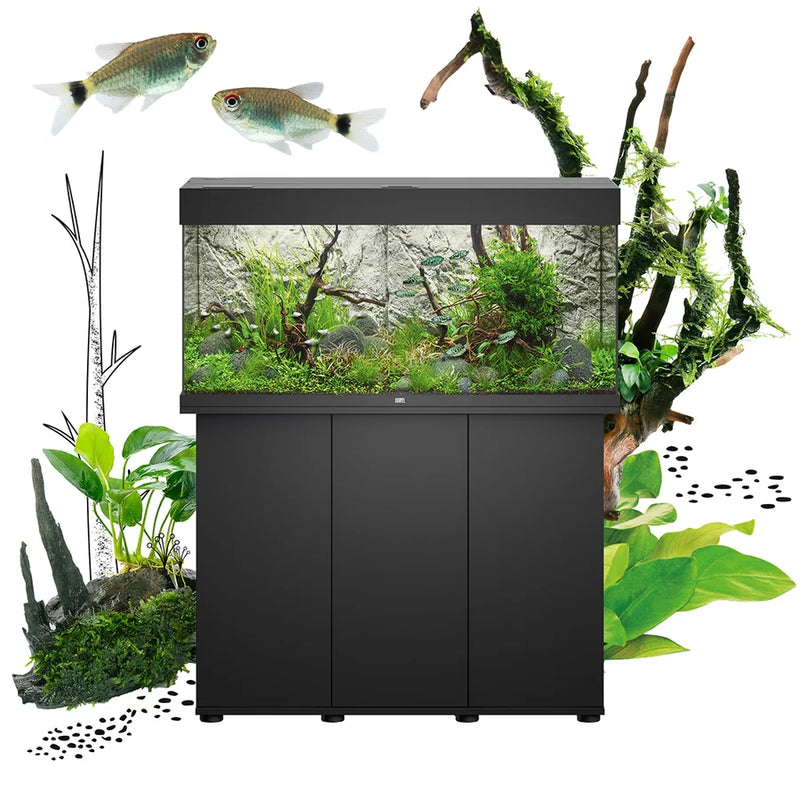 350 gallon fish tank 2025