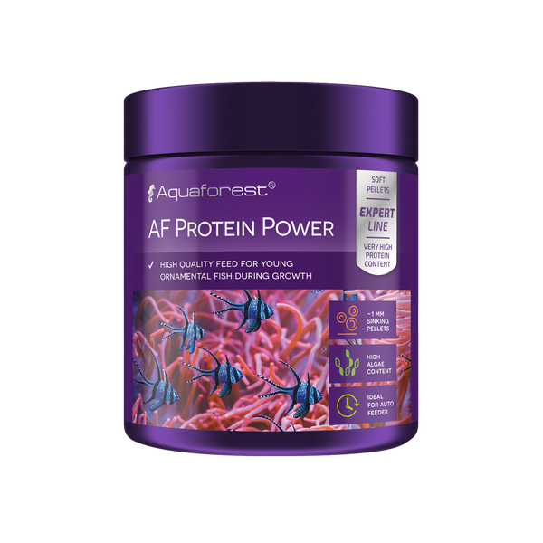 AF Protein Power 120g - RBM Aquatics  