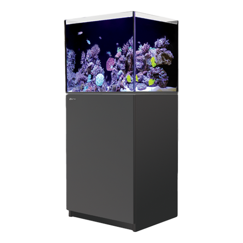 Red sea fish tank new arrivals