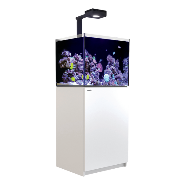 RedSea Reefer 170 G2 Deluxe (incl.ReefLED 90) - White