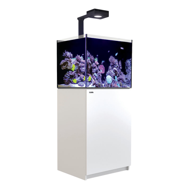 Red Sea Reefer 170 Deluxe (incl.ReefLED 90) - White - RBM Aquatics  