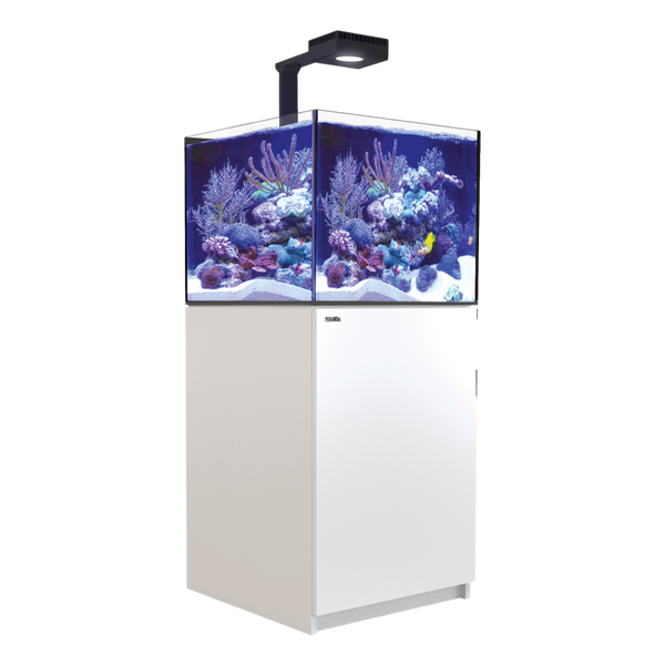 Reefer XL200 Deluxe Complete System - White - RBM Aquatics  